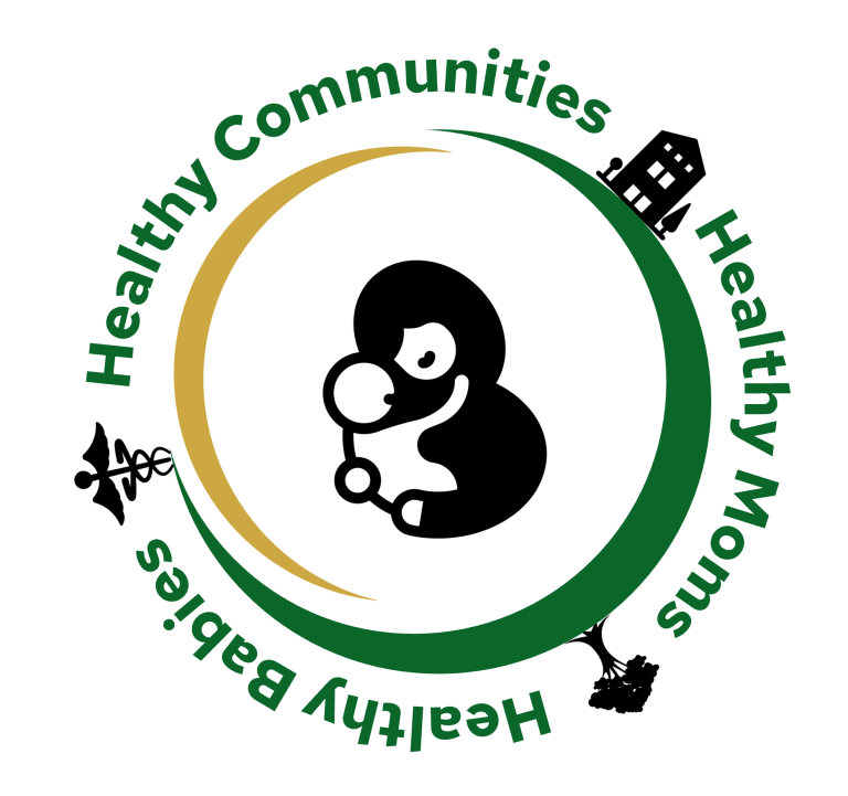 The Maternal Child Health Equity & Safety Lab Logo