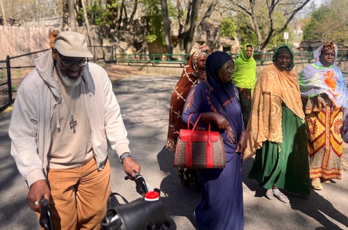 Program for Black Senior Older Adults